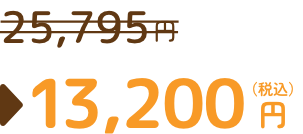 通常価格25,795円から13,200円（税込）
